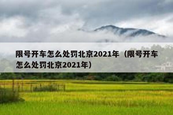 限号开车怎么处罚北京2021年（限号开车怎么处罚北京2021年） 第1张