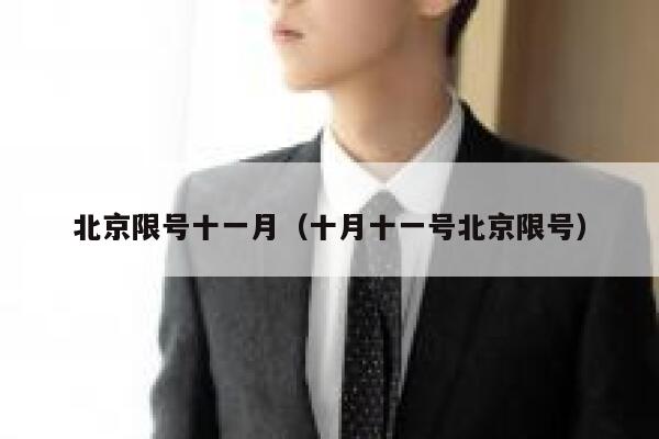 北京限号十一月（十月十一号北京限号） 第1张