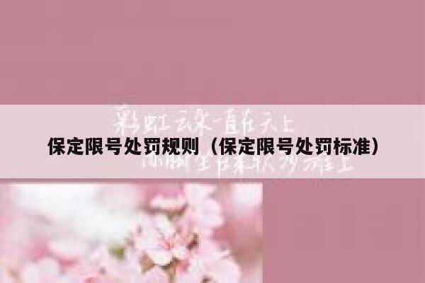 保定限号处罚规则（保定限号处罚标准） 第1张