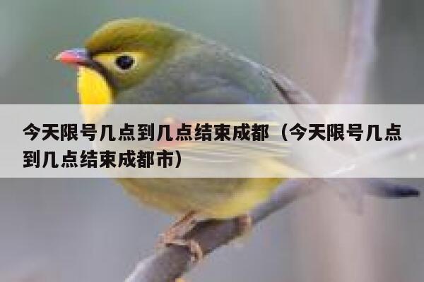 今天限号几点到几点结束成都（今天限号几点到几点结束成都市） 第1张