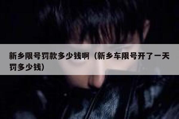 新乡限号罚款多少钱啊（新乡车限号开了一天罚多少钱） 第1张