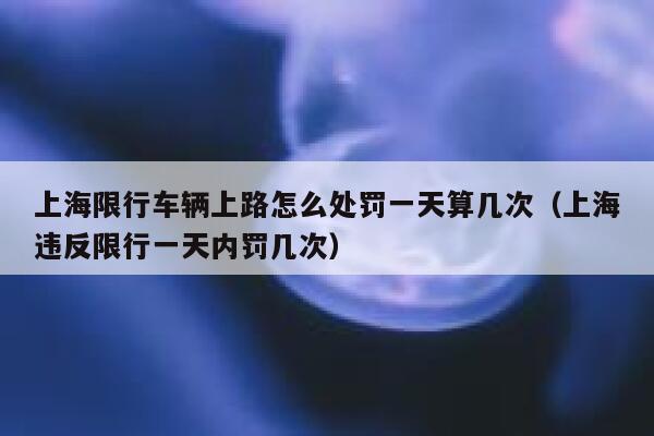 上海限行车辆上路怎么处罚一天算几次(上海违反限行一天内罚几次) 第1张 上海限行车辆上路怎么处罚一天算几次(上海违反限行一天内罚几次) 第1张