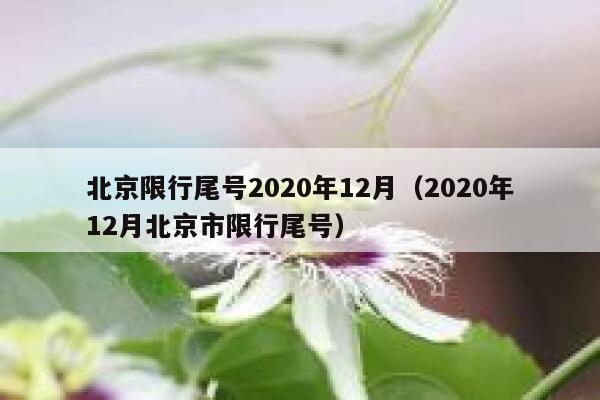 北京限行尾号2020年12月（2020年12月北京市限行尾号） 第1张