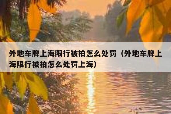 外地车牌上海限行被拍怎么处罚(外地车牌上海限行被拍怎么处罚上海) 第1张 外地车牌上海限行被拍怎么处罚(外地车牌上海限行被拍怎么处罚上海) 第1张