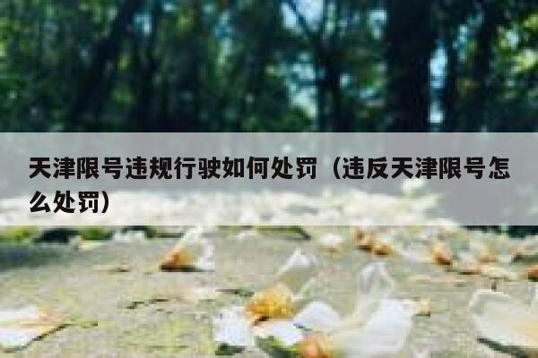天津限号违规行驶如何处罚（违反天津限号怎么处罚） 第1张