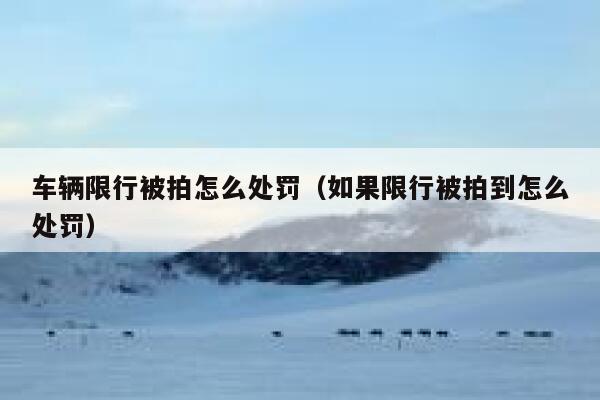 车辆限行被拍怎么处罚（如果限行被拍到怎么处罚） 第1张