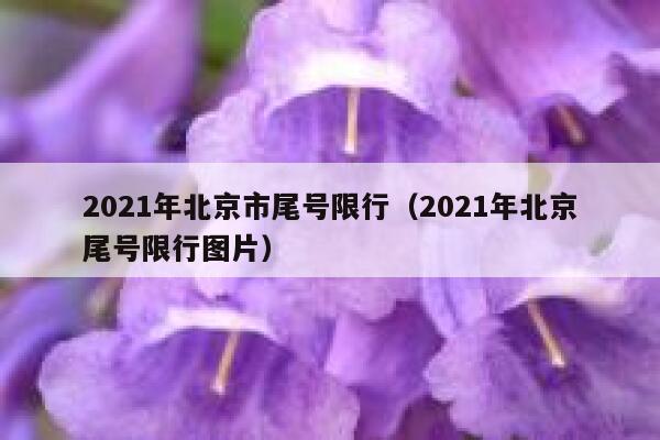 2021年北京市尾号限行（2021年北京尾号限行图片） 第1张
