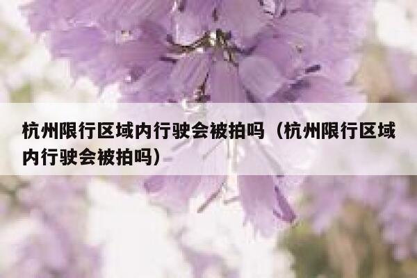 杭州限行区域内行驶会被拍吗（杭州限行区域内行驶会被拍吗） 第1张