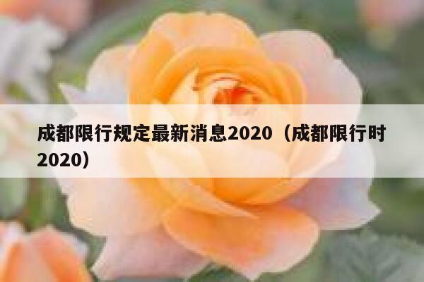 成都限行规定最新消息2020(成都限行时2020) 第1张 成都限行规定最新消息2020(成都限行时2020) 第1张