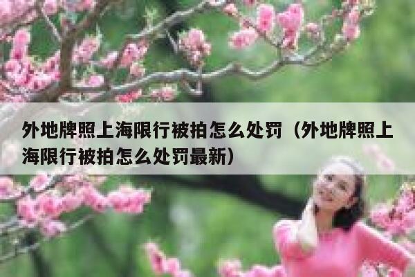 外地牌照上海限行被拍怎么处罚(外地牌照上海限行被拍怎么处罚最新) 第1张 外地牌照上海限行被拍怎么处罚(外地牌照上海限行被拍怎么处罚最新) 第1张