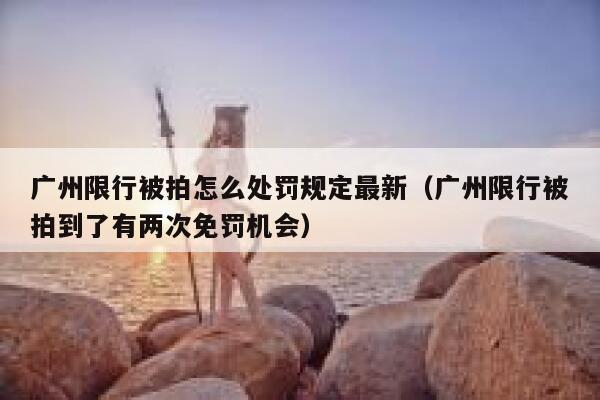 广州限行被拍怎么处罚规定最新（广州限行被拍到了有两次免罚机会） 第1张