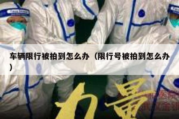 车辆限行被拍到怎么办(限行号被拍到怎么办) 第1张 车辆限行被拍到怎么办(限行号被拍到怎么办) 第1张