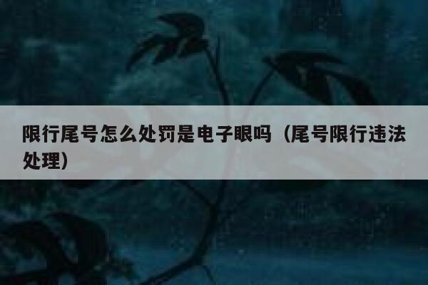 限行尾号怎么处罚是电子眼吗（尾号限行违法处理） 第1张