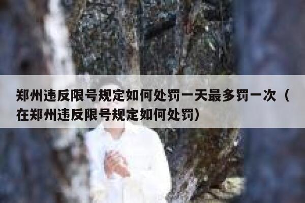 郑州违反限号规定如何处罚一天最多罚一次(在郑州违反限号规定如何处罚) 第1张 郑州违反限号规定如何处罚一天最多罚一次(在郑州违反限号规定如何处罚) 第1张