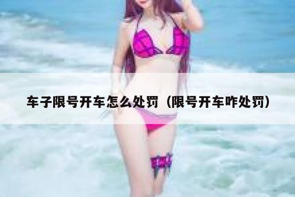 车子限号开车怎么处罚(限号开车咋处罚) 第1张 车子限号开车怎么处罚(限号开车咋处罚) 第1张