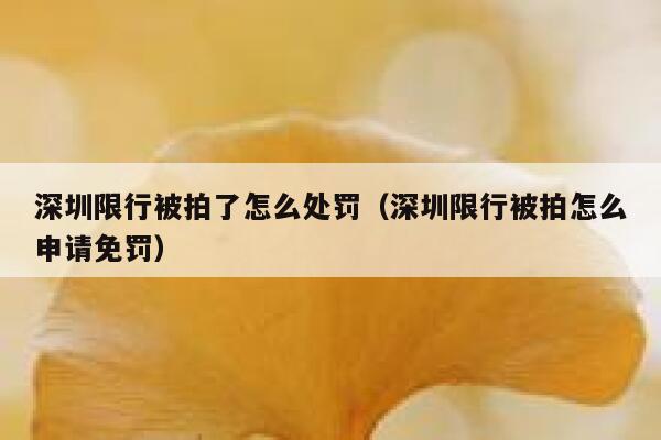 深圳限行被拍了怎么处罚（深圳限行被拍怎么申请免罚） 第1张