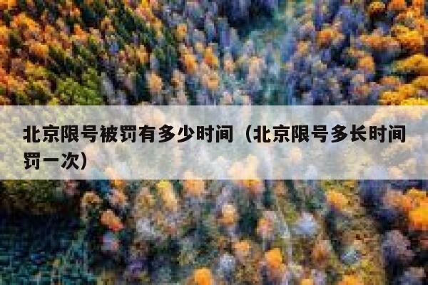 北京限号被罚有多少时间(北京限号多长时间罚一次) 第1张 北京限号被罚有多少时间(北京限号多长时间罚一次) 第1张