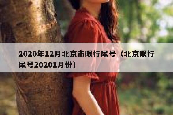2020年12月北京市限行尾号（北京限行尾号20201月份） 第1张
