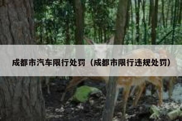成都市汽车限行处罚(成都市限行违规处罚) 第1张 成都市汽车限行处罚(成都市限行违规处罚) 第1张