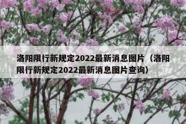 洛阳限行新规定2022最新消息图片(洛阳限行新规定2022最新消息图片查询) 第1张 洛阳限行新规定2022最新消息图片(洛阳限行新规定2022最新消息图片查询) 第1张
