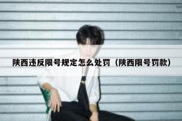 陕西违反限号规定怎么处罚(陕西限号罚款) 第1张 陕西违反限号规定怎么处罚(陕西限号罚款) 第1张