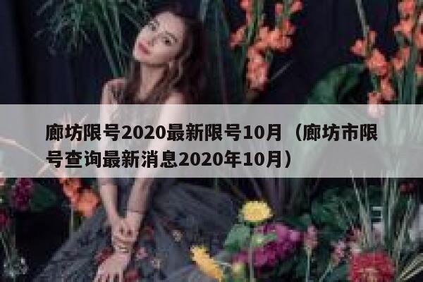 廊坊限号2020最新限号10月（廊坊市限号查询最新消息2020年10月） 第1张