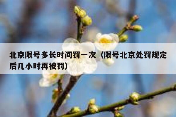 北京限号多长时间罚一次（限号北京处罚规定后几小时再被罚） 第1张