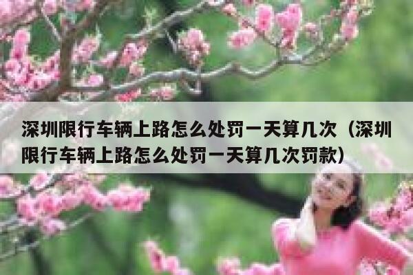 深圳限行车辆上路怎么处罚一天算几次(深圳限行车辆上路怎么处罚一天算几次罚款) 第1张 深圳限行车辆上路怎么处罚一天算几次(深圳限行车辆上路怎么处罚一天算几次罚款) 第1张