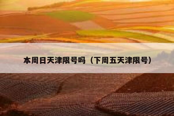 本周日天津限号吗(下周五天津限号) 第1张 本周日天津限号吗(下周五天津限号) 第1张