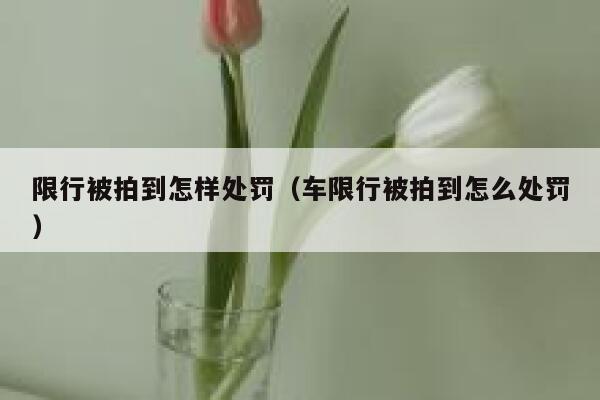 限行被拍到怎样处罚（车限行被拍到怎么处罚） 第1张