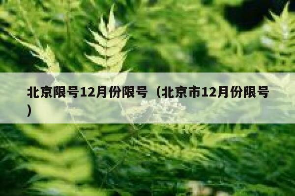 北京限号12月份限号（北京市12月份限号） 第1张