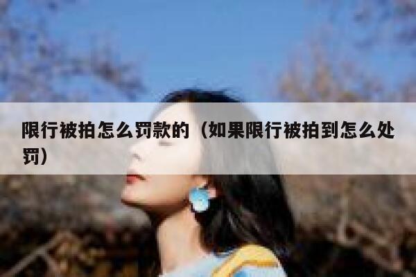 限行被拍怎么罚款的（如果限行被拍到怎么处罚） 第1张