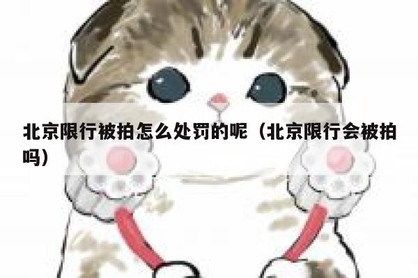 北京限行被拍怎么处罚的呢（北京限行会被拍吗） 第1张