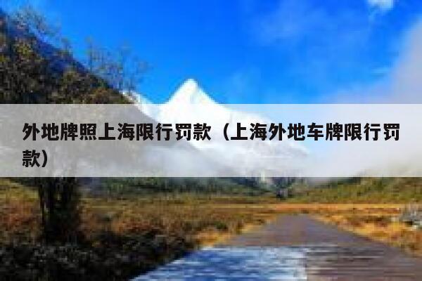 外地牌照上海限行罚款（上海外地车牌限行罚款） 第1张