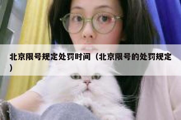 北京限号规定处罚时间（北京限号的处罚规定） 第1张
