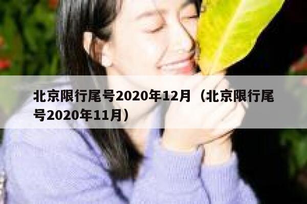 北京限行尾号2020年12月（北京限行尾号2020年11月） 第1张