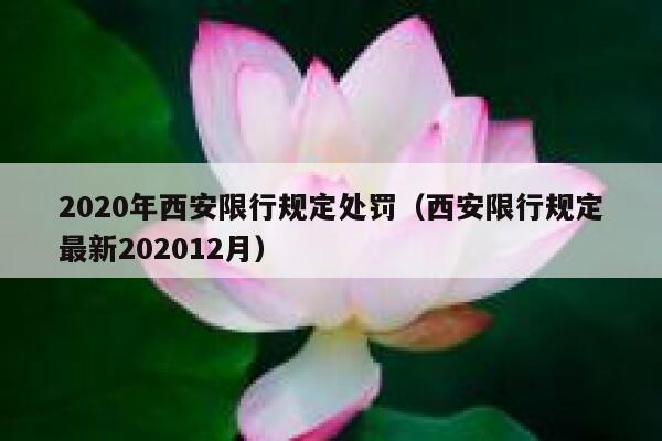 2020年西安限行规定处罚（西安限行规定最新202012月） 第1张