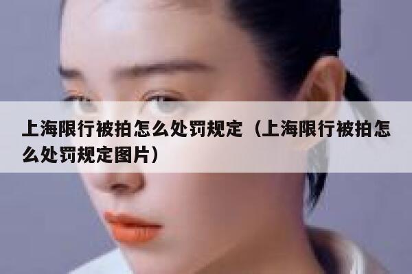 上海限行被拍怎么处罚规定(上海限行被拍怎么处罚规定图片) 第1张 上海限行被拍怎么处罚规定(上海限行被拍怎么处罚规定图片) 第1张