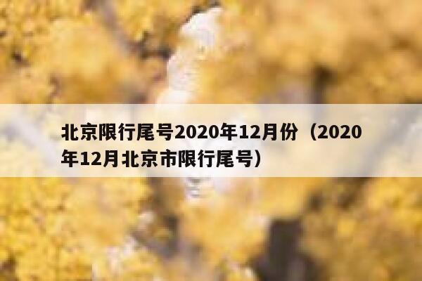 北京限行尾号2020年12月份（2020年12月北京市限行尾号） 第1张