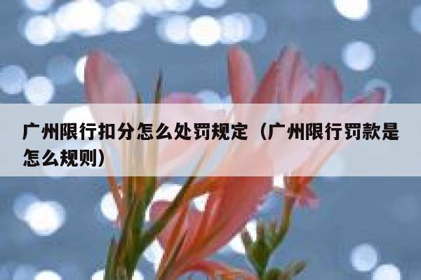 广州限行扣分怎么处罚规定（广州限行罚款是怎么规则） 第1张