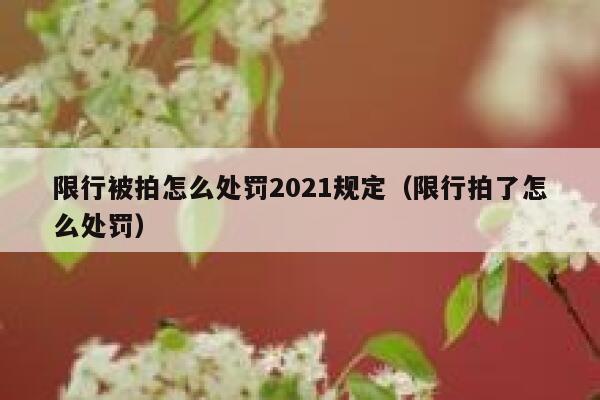 限行被拍怎么处罚2021规定（限行拍了怎么处罚） 第1张