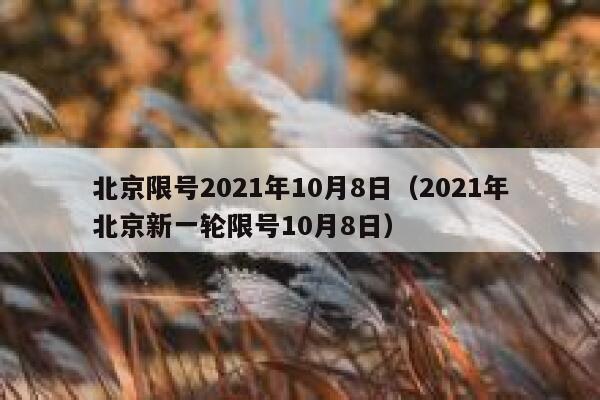 北京限号2021年10月8日（2021年北京新一轮限号10月8日） 第1张