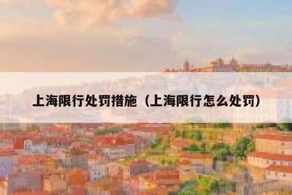 上海限行处罚措施(上海限行怎么处罚) 第1张 上海限行处罚措施(上海限行怎么处罚) 第1张