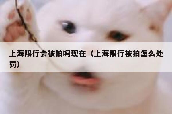 上海限行会被拍吗现在（上海限行被拍怎么处罚） 第1张