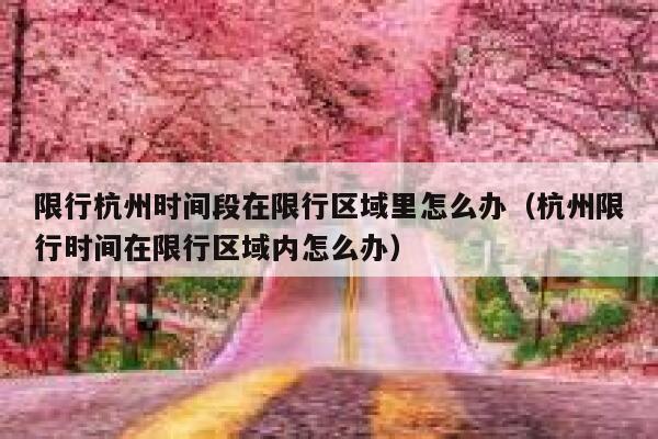限行杭州时间段在限行区域里怎么办（杭州限行时间在限行区域内怎么办） 第1张