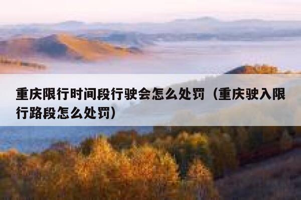 重庆限行时间段行驶会怎么处罚（重庆驶入限行路段怎么处罚） 第1张