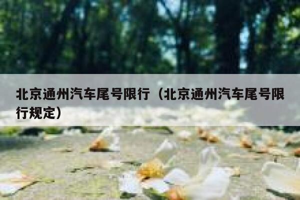 北京通州汽车尾号限行(北京通州汽车尾号限行规定) 第1张 北京通州汽车尾号限行(北京通州汽车尾号限行规定) 第1张