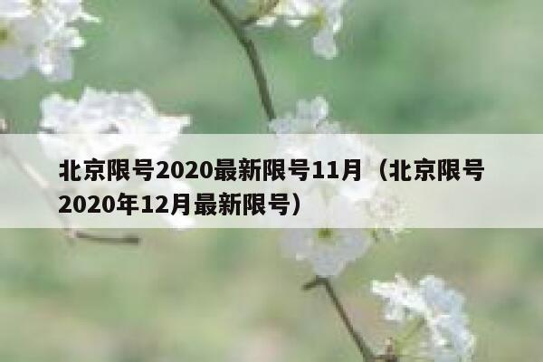 北京限号2020最新限号11月（北京限号2020年12月最新限号） 第1张