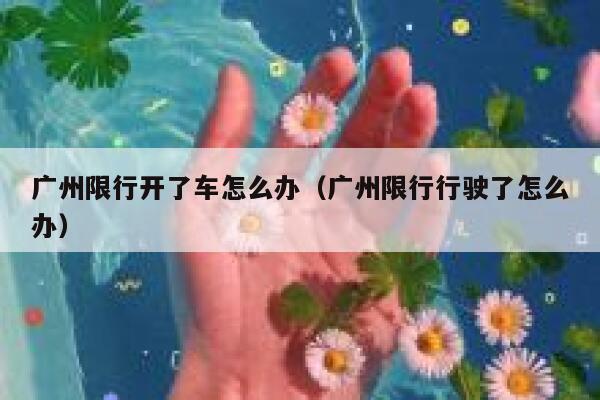 广州限行开了车怎么办（广州限行行驶了怎么办） 第1张