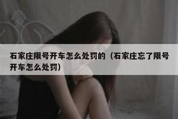 石家庄限号开车怎么处罚的（石家庄忘了限号开车怎么处罚） 第1张
